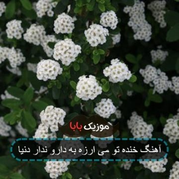 آهنگ خنده تو می ارزه به دارو ندار دنیا آهنگ خنده تو می ارزه به دارو ندار دنیا