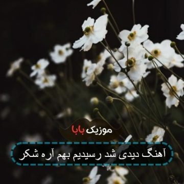 آهنگ دیدی شد رسیدیم بهم آره شکر