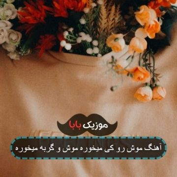 آهنگ موش رو کی میخوره موش و گربه میخوره