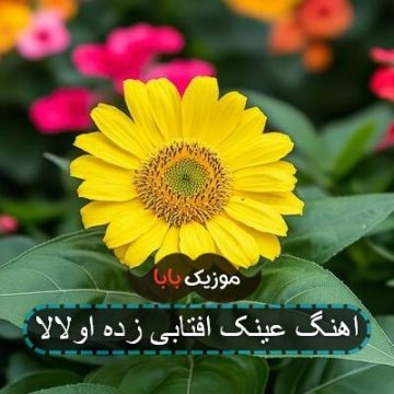 اهنگ عینک افتابی زده اولالا