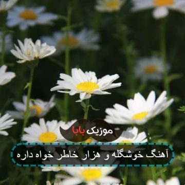 آهنگ خوشگله و هزار خاطر خواه داره