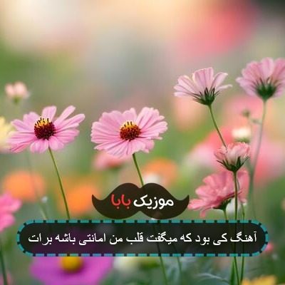 آهنگ کی بود که میگفت قلب من امانتی باشه برات