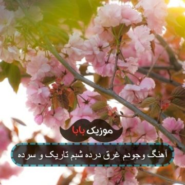 آهنگ وجودم غرق درده شبم تاریک و سرده