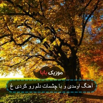 آهنگ اومدی و با چشمات دلم رو کردی غ آهنگ اومدی و با چشمات دلم رو کردی غ