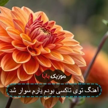 آهنگ توی تاکسی بودم یارم سوار شد