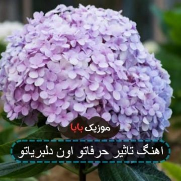 اهنگ تاثیر حرفاتو اون دلبریاتو
