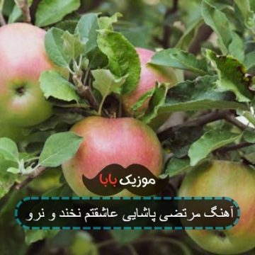 آهنگ مرتضی پاشایی عاشقتم نخند و نرو