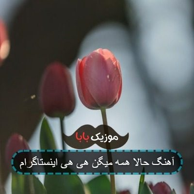 آهنگ حالا همه میگن هی هی اینستاگرام