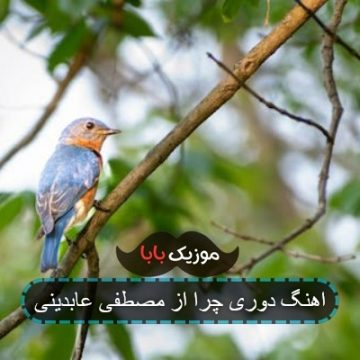 اهنگ دوری چرا از مصطفی عابدینی