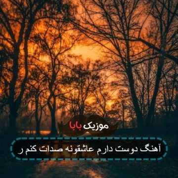 آهنگ دوست دارم عاشقانه صدایت کنم