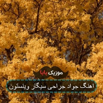 اهنگ جواد جراحی ندیدم دلسوزتر از سیگار اهنگ جواد جراحی ندیدم دلسوزتر از سیگار