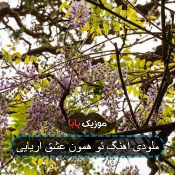 ملودی اهنگ تو همون عشق اریایی ملودی اهنگ تو همون عشق اریایی