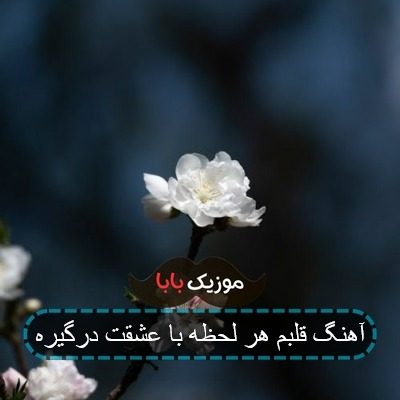 آهنگ قلبم هر لحظه با عشقت درگیره آهنگ قلبم هر لحظه با عشقت درگیره