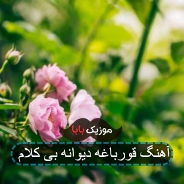 آهنگ قورباغه دیوانه بی کلام آهنگ قورباغه دیوانه بی کلام