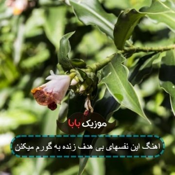اهنگ این نفسهای بی هدف زنده به گورم میکنن اهنگ این نفسهای بی هدف زنده به گورم میکنن
