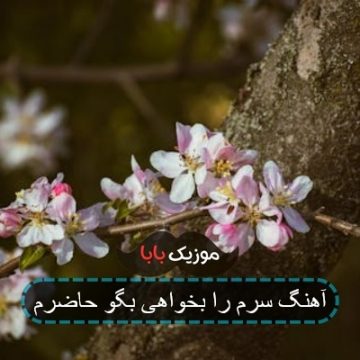 آهنگ سرم را بخواهی بگو حاضرم