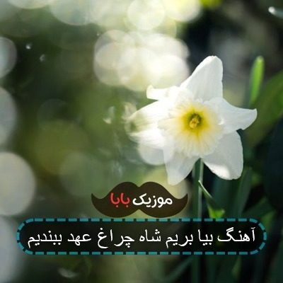 آهنگ بیا بریم شاه چراغ عهد ببندیم