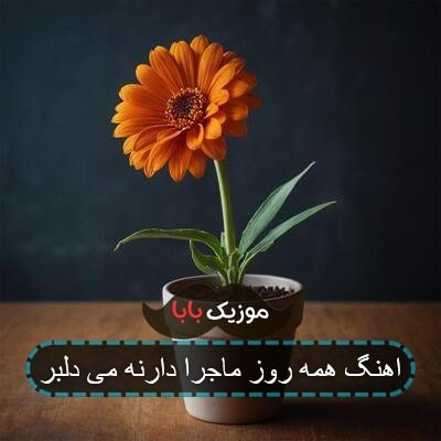 اهنگ همه روز ماجرا دارنه می دلبر اهنگ همه روز ماجرا دارنه می دلبر