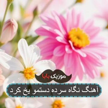 آهنگ نگاه سرده دستمو یخ کرد آهنگ نگاه سرده دستمو یخ کرد