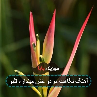 خواننده آهنگ نگاه استیل کنگو کیست خواننده آهنگ نگاه استیل کنگو کیست