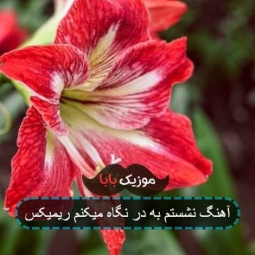 اهنگ نشستم به در نگاه میکنم ریمیکس اهنگ نشستم به در نگاه میکنم ریمیکس