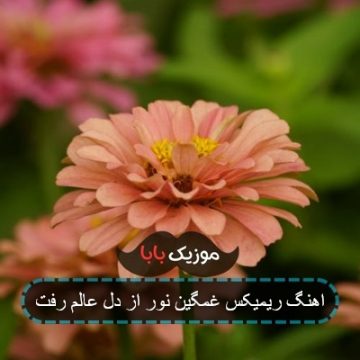 آهنگ دور از دل عالم رفت ریمیکس آهنگ دور از دل عالم رفت ریمیکس