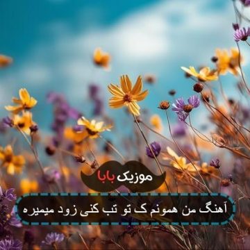 آهنگ من همونم ک تو تب کنی زود میمیره