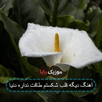 آهنگ دیگه قلب شکستم طاقت نداره دنیا