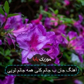آهنگ جان ب جانم کنی همه جانم تویی
