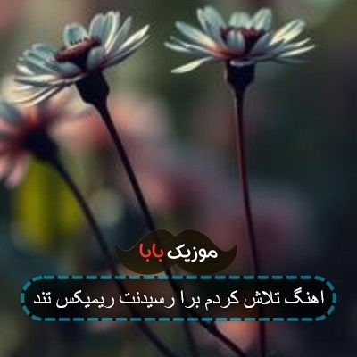 اهنگ تلاش کردم برا رسیدنت ریمیکس تند اهنگ تلاش کردم برا رسیدنت ریمیکس تند