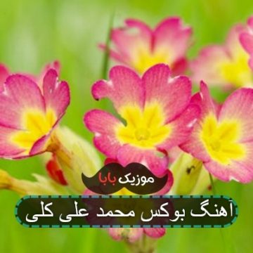آهنگ بوکس محمد علی کلی