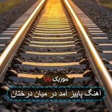 آهنگ پاییز آمد در میان درختان