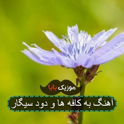 آهنگ به کافه ها و دود سیگار آهنگ به کافه ها و دود سیگار