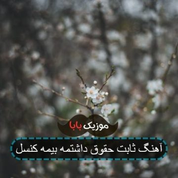 آهنگ ثابت حقوق داشتمه بیمه کنسل