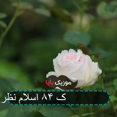 آهنگ پارس پلاک ۸۴ اسلام نظری آهنگ پارس پلاک ۸۴ اسلام نظری