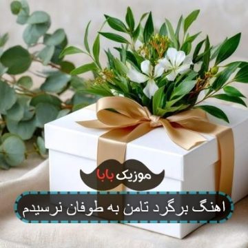 اهنگ برگرد تامن به طوفان نرسیدم