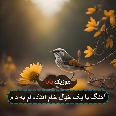آهنگ با یک خیال خام افتاده ام به دام