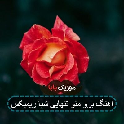 آهنگ رفت خودش نخواست رامین تجنگی آهنگ رفت خودش نخواست رامین تجنگی