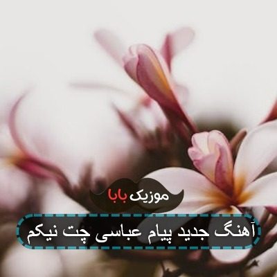 آهنگ جدید پیام عباسی چت نیکم