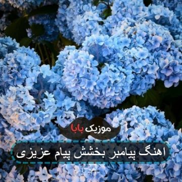 اهنگ پیامبر بخشش پیام عزیزی