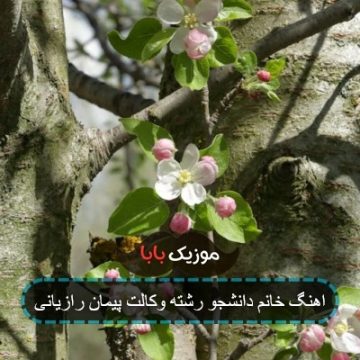 اهنگ خانم دانشجو رشته وکالت پیمان رازیانی