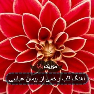 اهنگ قلب زخمی از پیمان عباسی