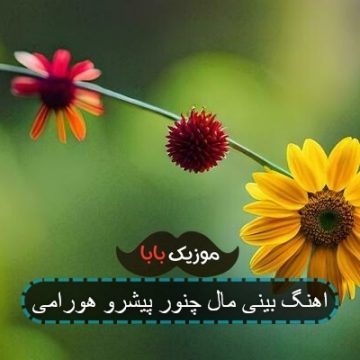اهنگ بینی مال چنور پیشرو هورامی اهنگ بینی مال چنور پیشرو هورامی