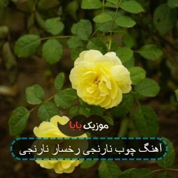 آهنگ رخسار نارنجی با صدای زن