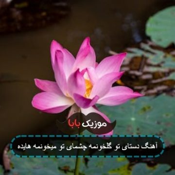آهنگ دستای تو گلخونمه چشمای تو میخونمه هایده