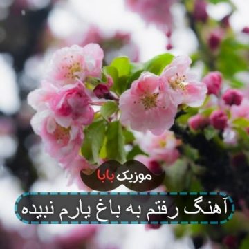آهنگ رفتم به باغ یارم نبیده