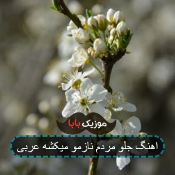 اهنگ جلو مردم نازمو میکشه عربی