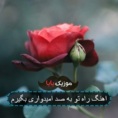 اهنگ راه تو به صد امیدواری بگیرم