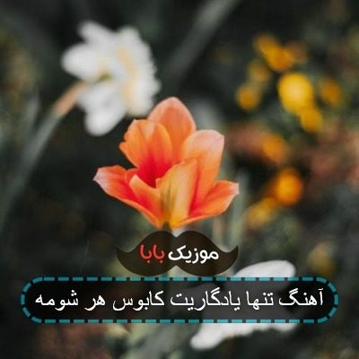 آهنگ تنها یادگاریت کابوس هر شومه ریمیکس