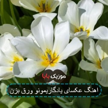 اهنگ عکسای یادگاریمونو ورق بزن